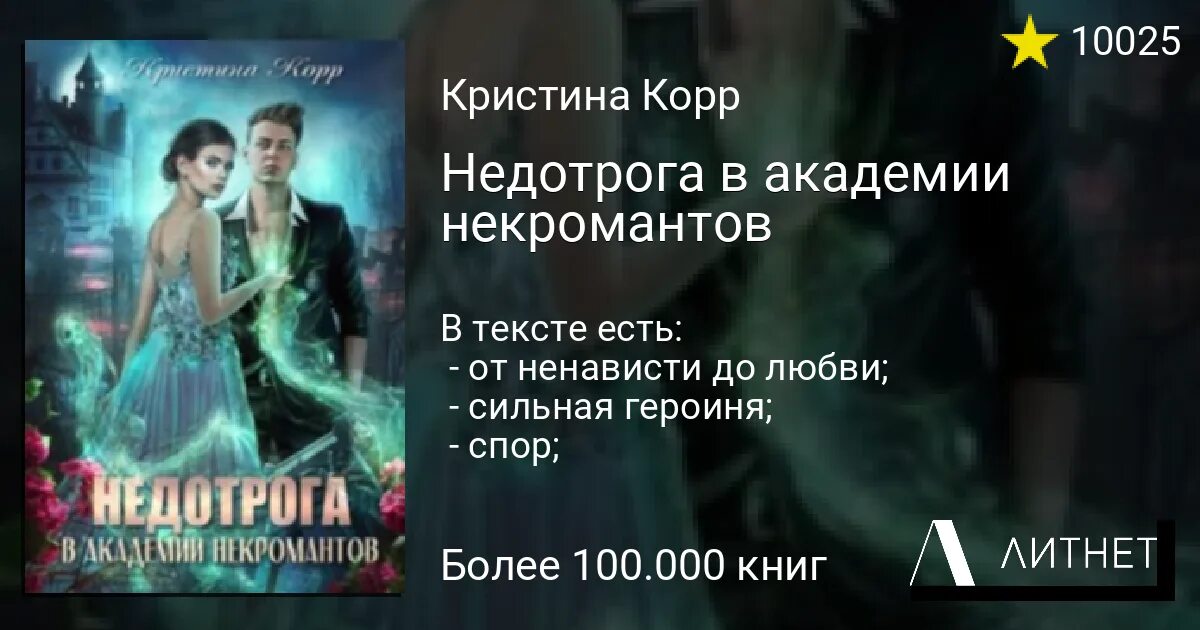 Недотрога в Академии некромантов книга. Недотрога в Академии некромантов аудиокнига. Каникулы в Академии некромантов.