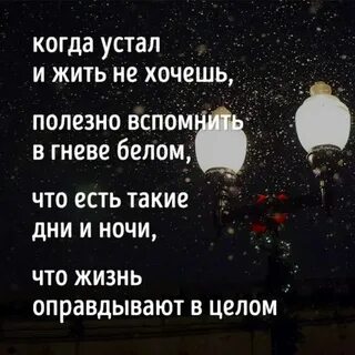Почему полезно жить
