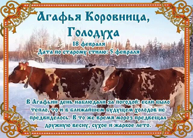 Дата 18 февраля