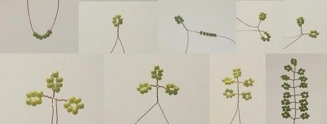 Дерево мимоза из бисера схема плетения Как сделать мимозу из бисера Какие есть схемы, мастер-классы плетения