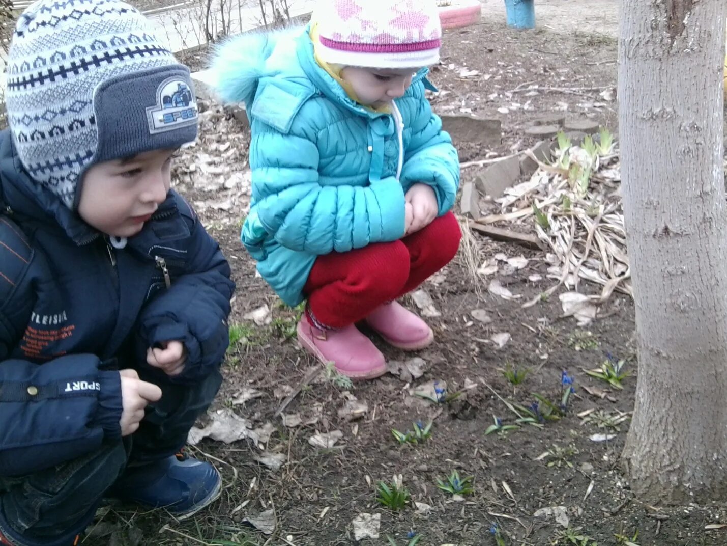 Целевая прогулка в средней группе. Весенние прогулки в средней группе. Игры весной на улице для детей средняя группа. Целевая прогулка.