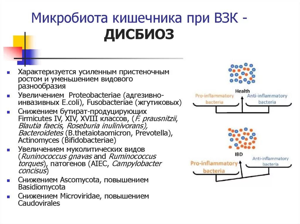 Состояние микрофлоры. Микробиота это в микробиологии. Функции микробиоты. Микробиота тонкой кишки. Микробиота кишечника.