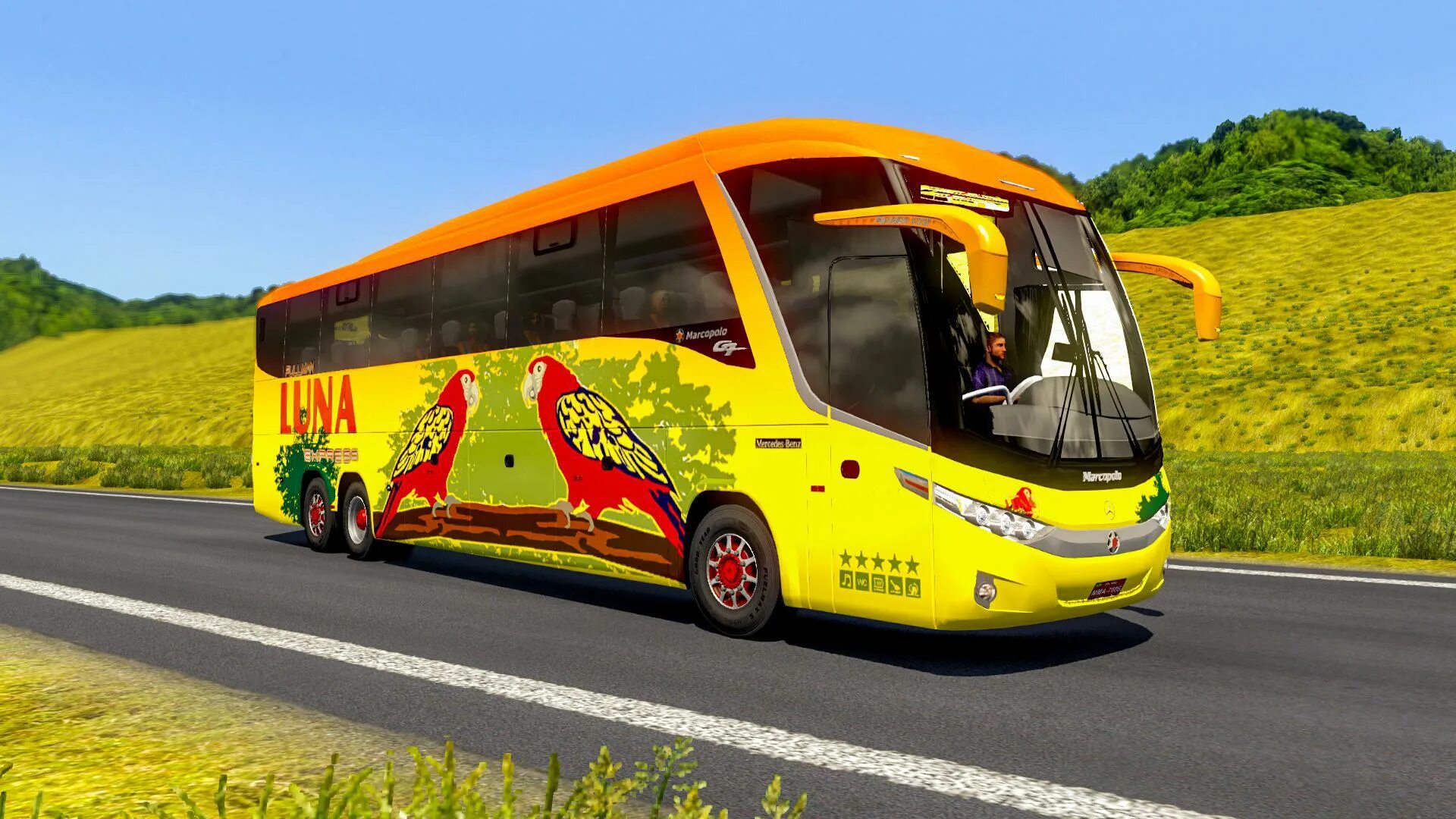 Bus if