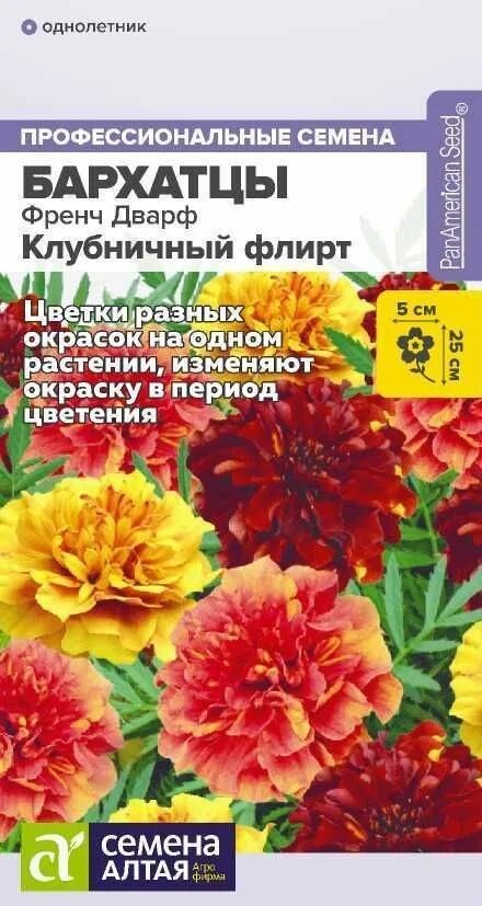 Бархатцы отклоненные файрбол. Тагетес french dwarf strawberry blonde. Бархатцы стравберри. Бархатцы френч дварф. Семена бархатцев клубничный флирт.