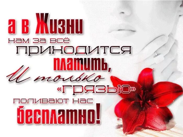 цитаты о ван гоге. за всёприходитсяплатить. за все в жизни нужно платить. по периметру горят фонари наговицын. каждый человек сам.
