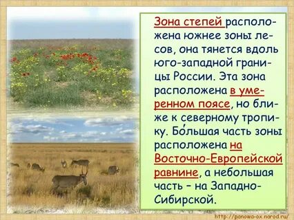 Природные зоны земли степь