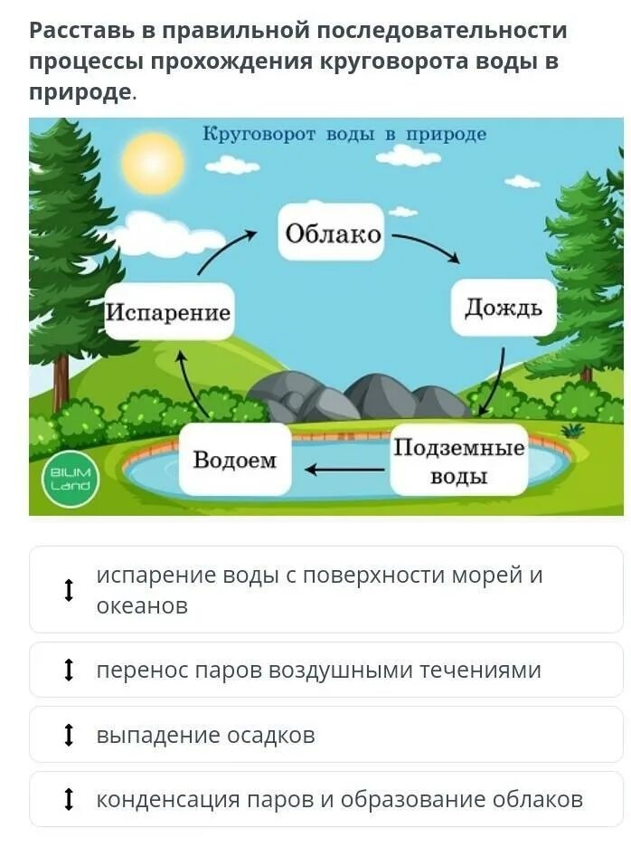 Обозначь верную последовательность процессов. Круговорот воды в природе. последовательность круговорота воды в природе. этапы круговорота воды. этапы мирового круговорота воды в природе.