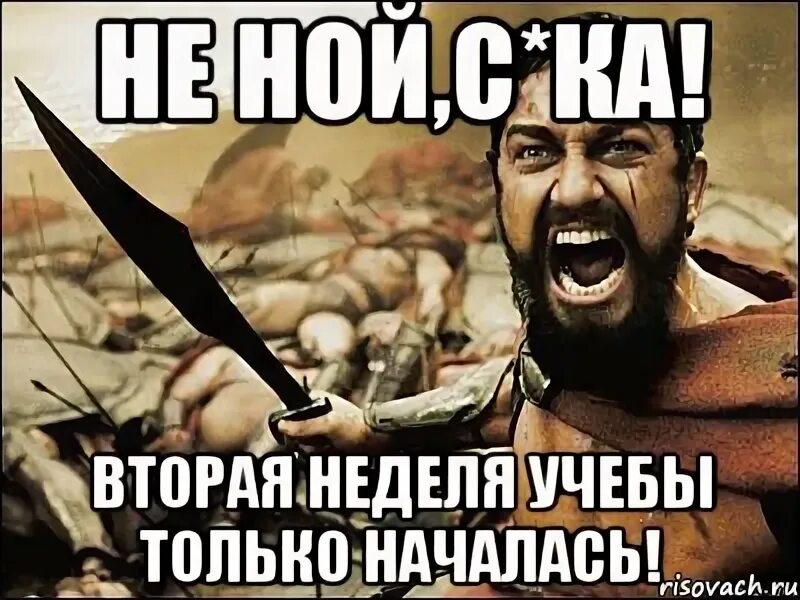 Дай ка следующую