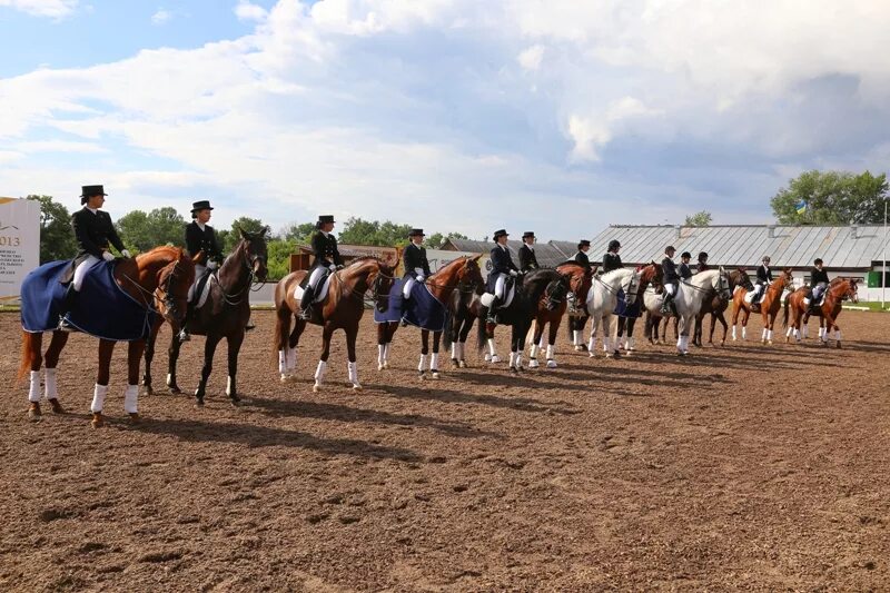 яменская усадьба конюшня соревнования. яменская усадьба конюшня. ярославская конно-спортивная школа. конно спортивная улица. конный спорт курск.