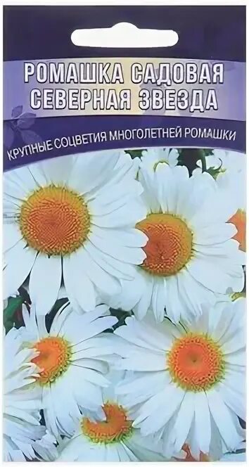 Семена цветов ромашки. Семена цветов ромашки. Семена ромашки. Ромашка низкорослая серебряная. Семена ромашки.
