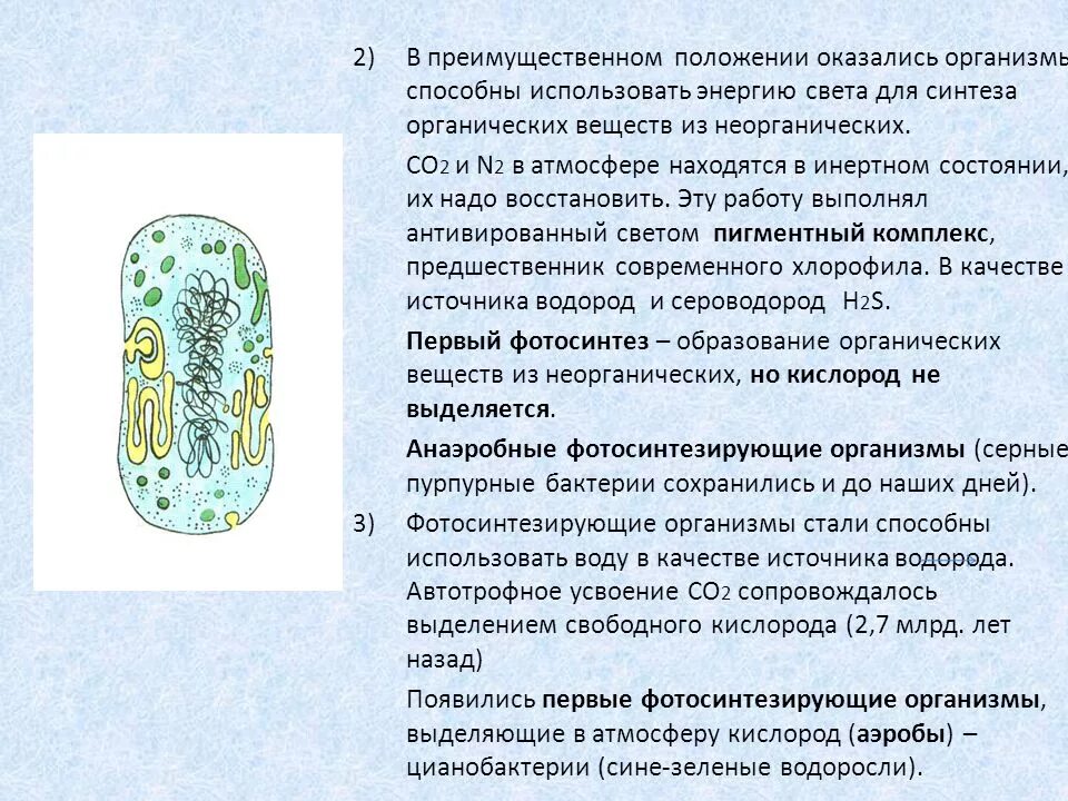 Первыми организмами на земле были. Первые фотосинтезирущие организме. первые фотосинтезирующие организмы. первые фотосинтезирующие организмы, выделяющие в атмосферу кислород.. первыми автотрофными организмами на земле были.