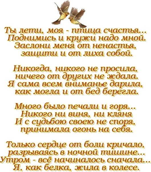 Ничего просить не стану. Стих про птицу счастья. Стихи о синей птице счастья. Стихи о счастье. Птица счастья высказывания.