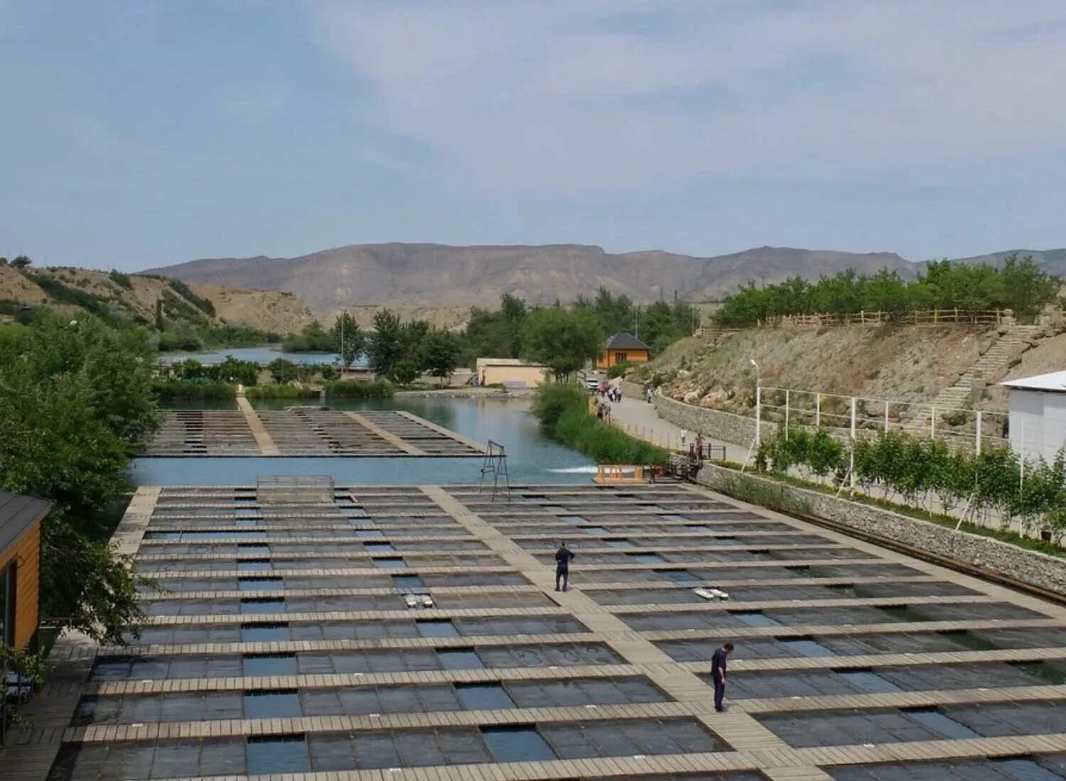 кафе пальмира кизилюрт. кизилюрт г/цадаса 66. рестораны в кизилюрте. кизилюрт ул. кофейня кизилюрт.