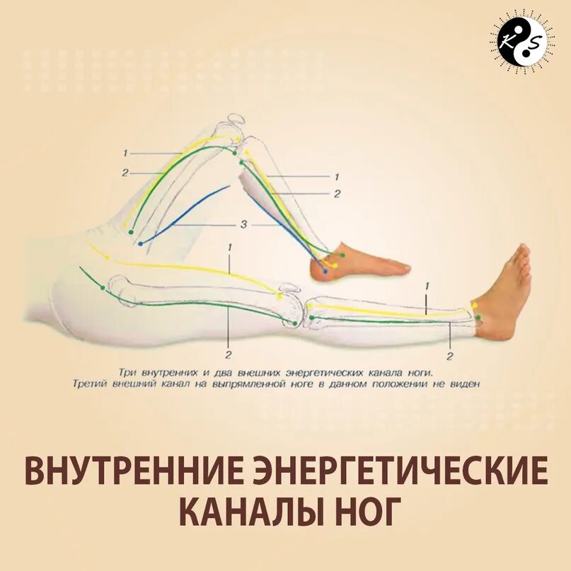 Ноги тг каналы. Меридианы ног энергетические. Ли гоу точка акупунктуры. Варикозно расширенные вены ног. Ноги тг каналы.