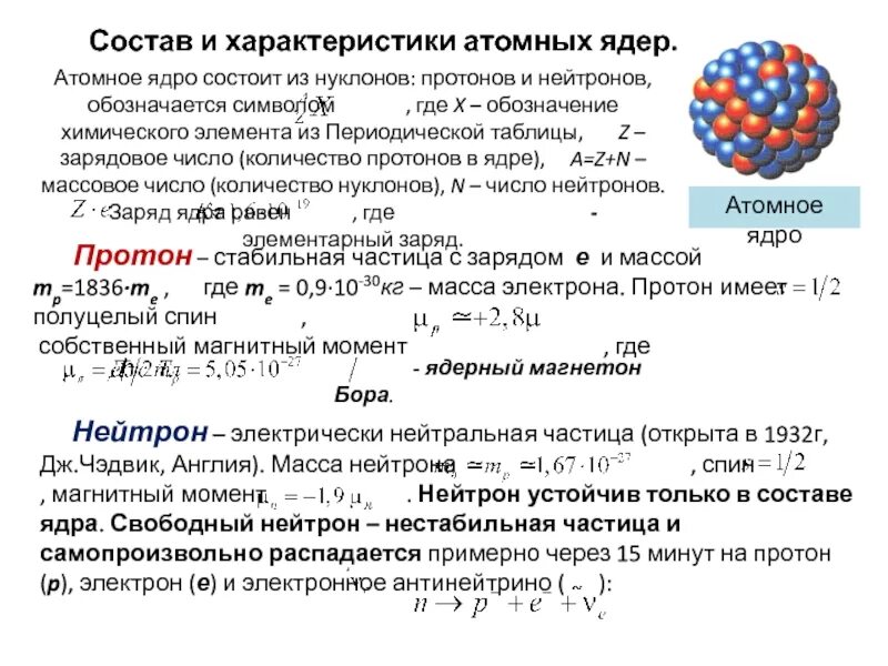 Основной состав ядра