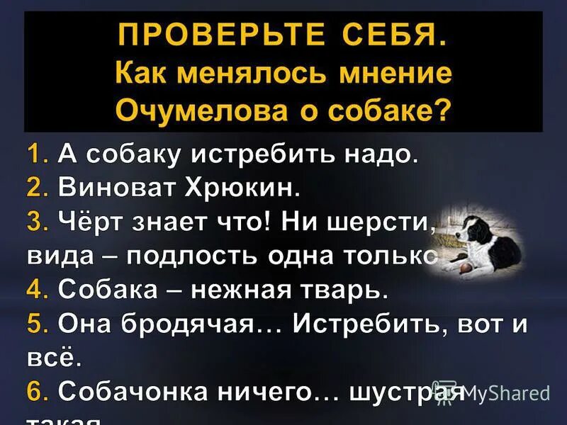 В зависимости от чего меняется отношение очумелова. Мнение Очумелова о собаке. Как менялось мнение Очумелова. Превращение Очумелова. Как менялось отношение Очумелова к собаке.