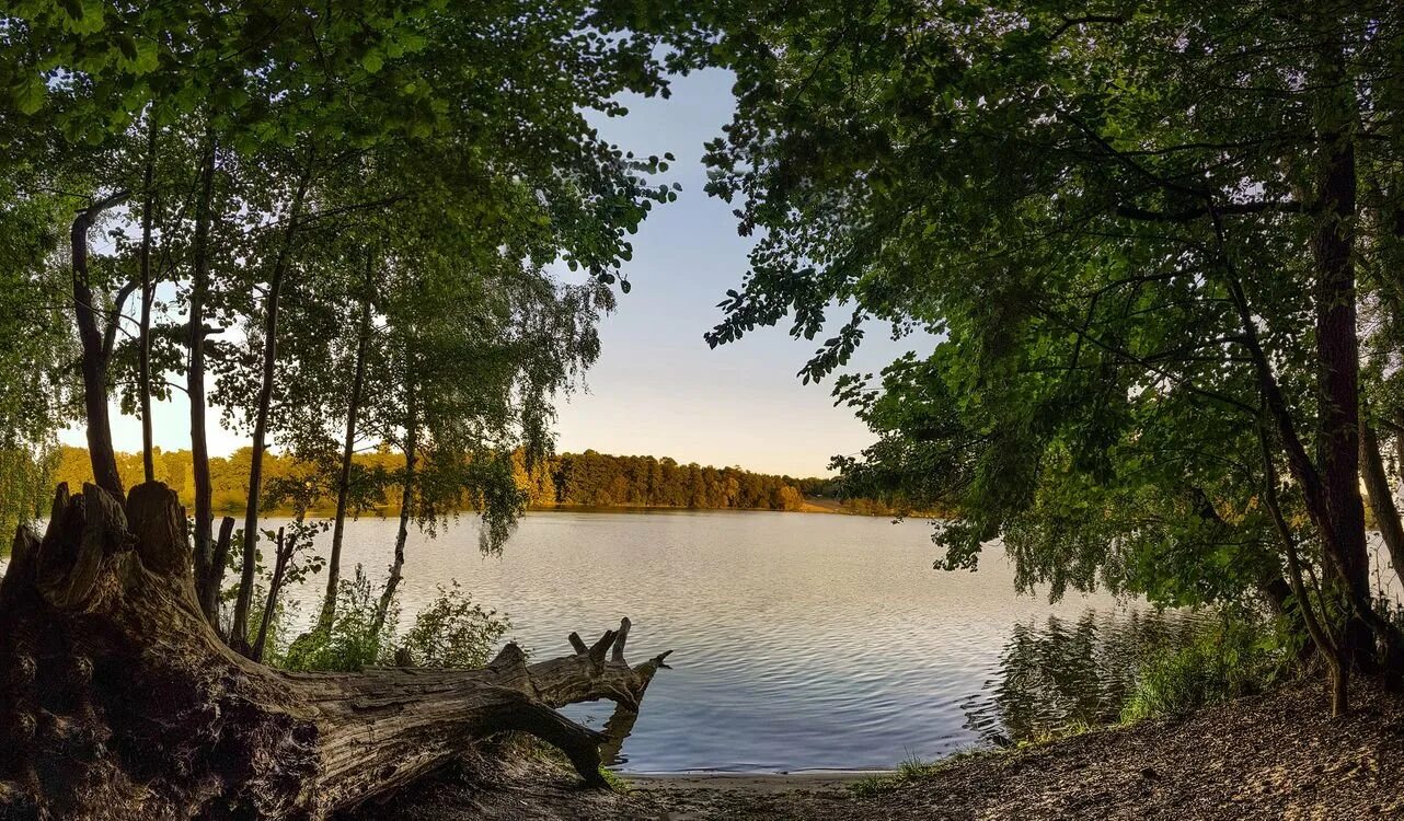 Фотографии берег озера. Озеро солнце. Берег реки озера. Светлояр нижегородская область. Пляж на озере.