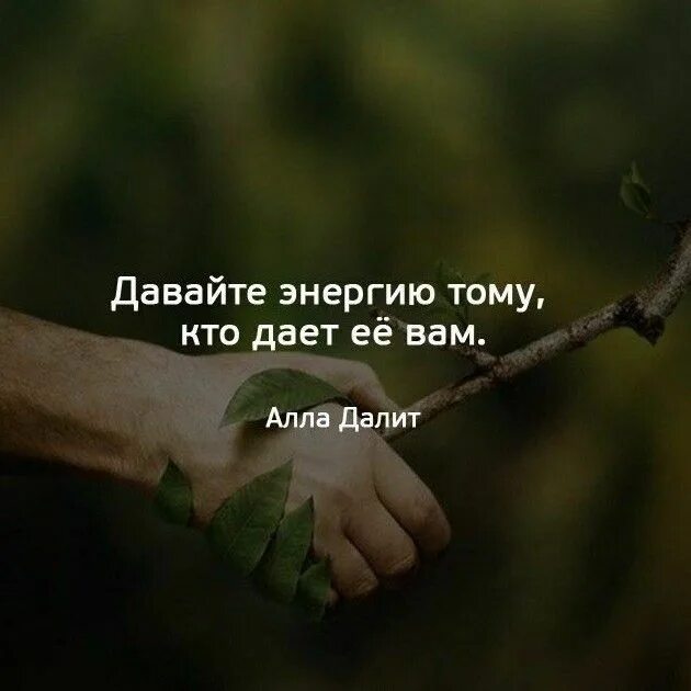 Цитаты про энергию человека. Цитаты про энергию. Афоризмы про энергию. Высказывания про энергию. Энергия жизни цитаты.