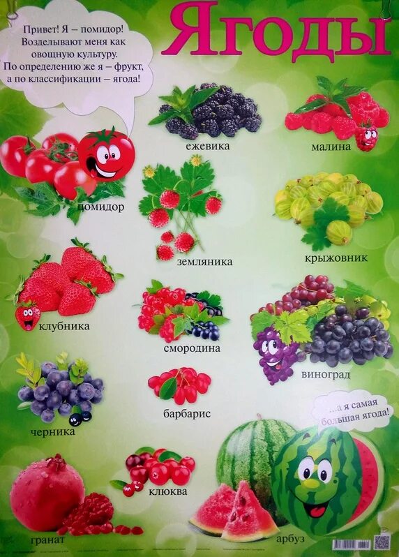 Как называется ягодка. Ягоды названия. Плакат. Ягоды. Ягоды плакат для детей. Садовые ягоды названия.