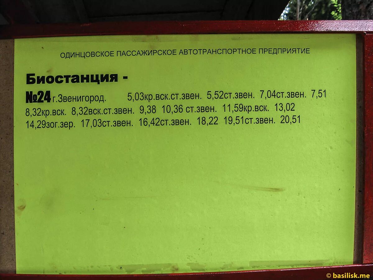 Расписание 23 автобуса звенигород каринское. Расписание автобусов Звенигород. 24 Автобус Звенигород. Расписание автобуса Кунцево Звенигород расписание 452 автобуса. Расписание автобусов 24 Звенигород.