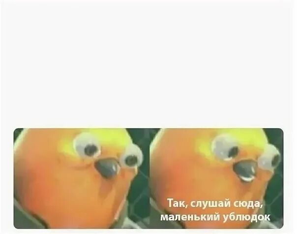 Слышь послушай. Мем listen here. слушай сюда ублюдок мем. listen here you little попугай. послушай сюда маленький.