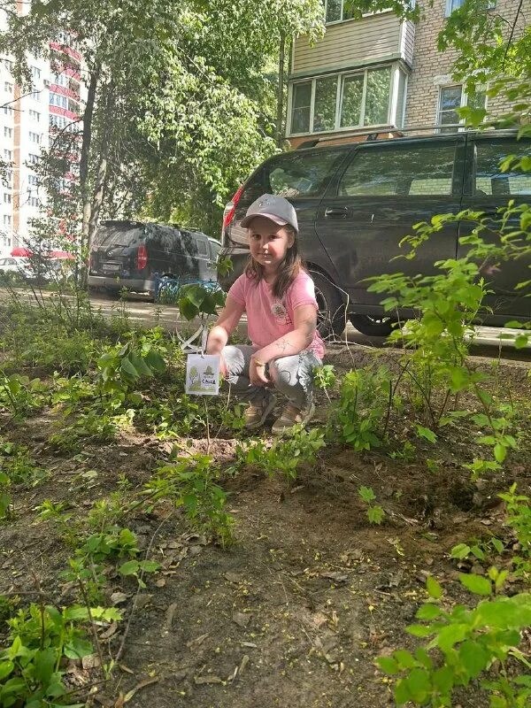 центр юкка коммуникативные тренинги. содействие томилино управляющая. муп томилино содействие. банк содействия. кредитный кооператив содействие.