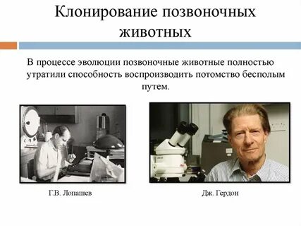 Клонирование карт