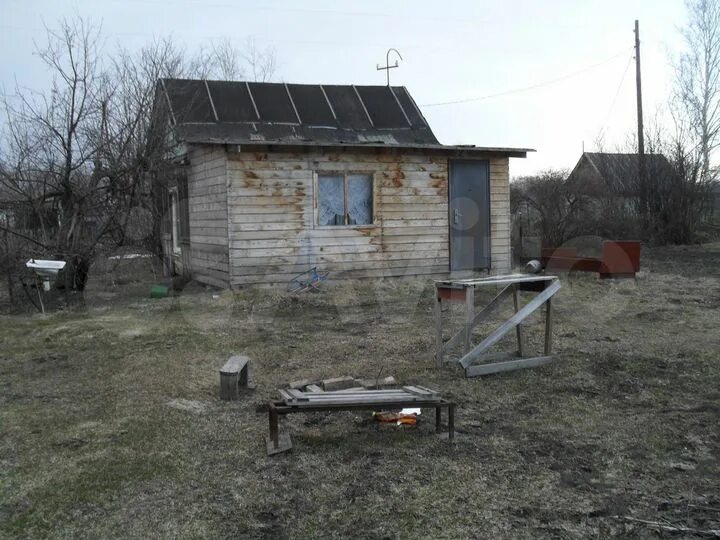 Село Боровиха Алтайский край Первомайский район. Алтайский край, Первомайский р-н, с. Боровиха. Станция Повалиха Алтайский край. Алтайский край станция Повалиха садоводства. Погода повалиха алтайский край