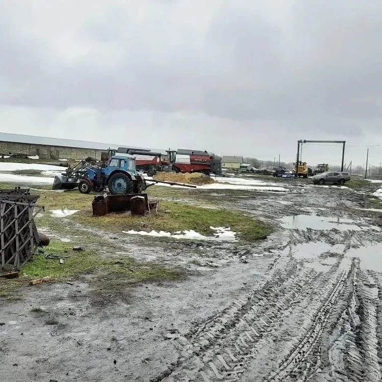 Село тракторное. Тракторный Петровский район Саратовская область. Посёлок тракторный Петровский район Саратовской области. Петровский район тракторный школа. КФХ Трофимов.