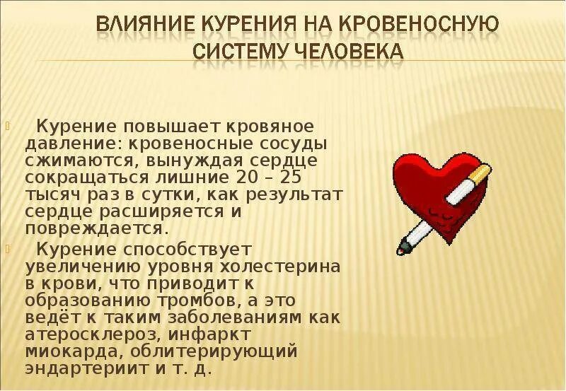 Курение повышает или понижает давление. Влияние табакокурения на кровеносную систему. От курения давление повышается или понижается. Курение поднимает давление.