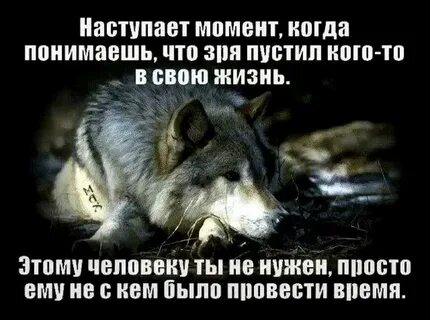 Вы видимо не поняли