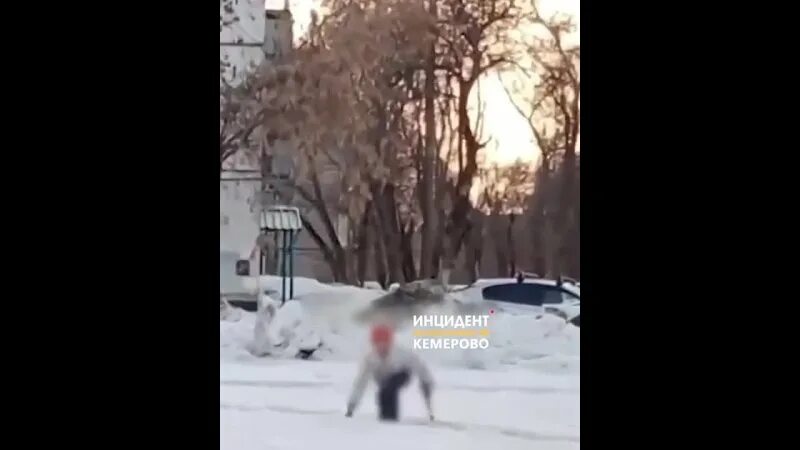 Маленький мальчик тащит мертвого папу крокус видео. Видео не для слабонервных ВК.