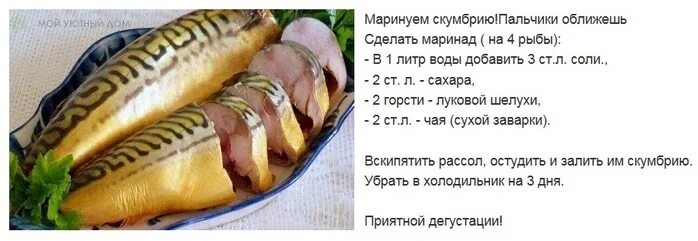 Сколько грамм в скумбрии. Скумбрия малосольная калорийность на 100 грамм. калорий в скумбрии запеченной. скумбрия слабосоленая калорийность на 100 грамм. скумбрия в духовке калорийность.