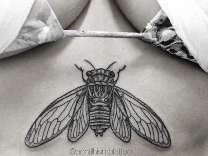 Cicada Pontilhismo Tattoo Cicada Tattoo, Sternum Tattoo, Insect Tattoo...