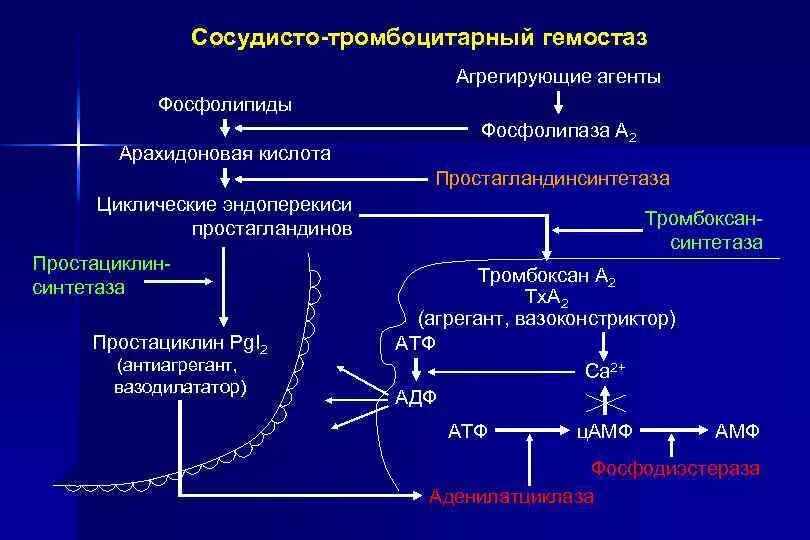 Механизм тромбоцитарно-сосудистого гемостаза. Механизм первичного сосудисто-тромбоцитарного звена гемостаза.. Этапы сосудисто-тромбоцитарного гемостаза схема. Сосудисто-тромбоцитарный гемостаз механизм. Ингибиторы свертывания крови