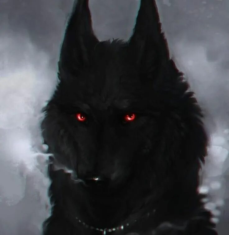 haleyween ⚢ MARINA BOOK ??????? on Twitter in 2022 Alpha wolf, Wolf meme, Werewo