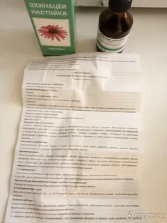 Настойка эхинацеи применение взрослым