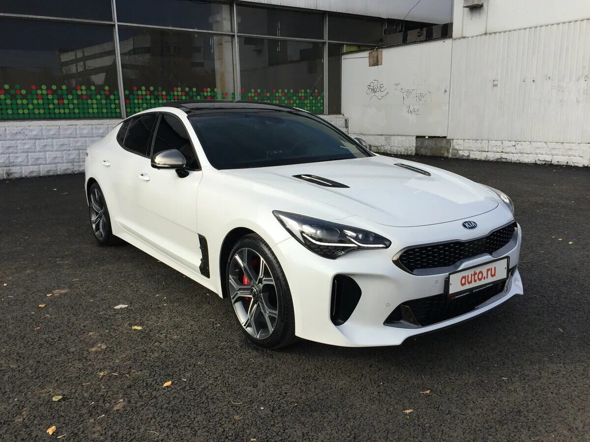 Киа стингер 2022 купить в москве. Kia Stinger 2019 белый. Киа Стингер 3.3 белая. Kia Stinger 2022 White. Kia Stinger gt 2022 белая\.