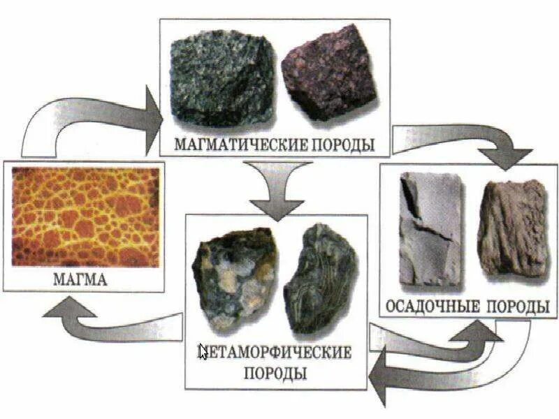 Класс магматических горных пород. Магматические и осадочные горные породы. Пласт магматической породы. Магматические породы названия. Магматические осадочные и метаморфические горные породы.