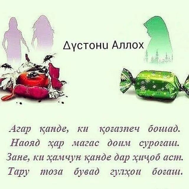 шеърхо. таджикские стихи про любовь. шеърхои таъсирбахш. статусы на таджикском языке. бехтарин суханхои исломи.