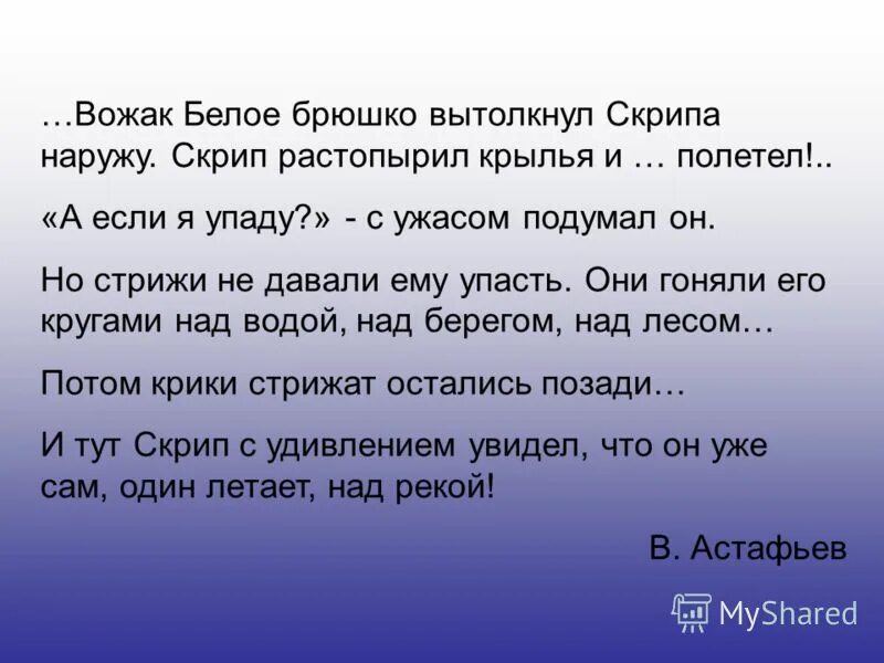 Белое брюшко не обращал внимания на писк