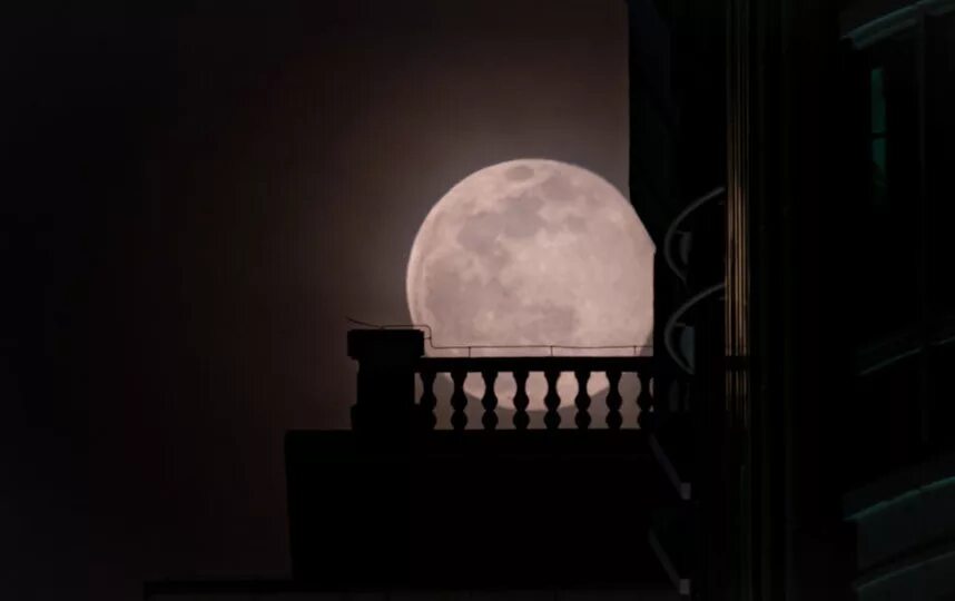 Луна взошла багровая и хмурая. Червячная Луна. Пока не взошла Луна. Луна в Москве суперлуние 2019 года на улице Кравченко из окна.
