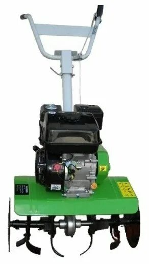 Зубр против бизона. 2. Приокско-террасный заповедник. Зубр лицо. Зубр к8.