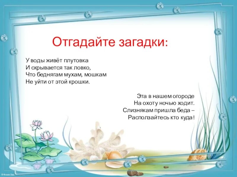 Загадка в воде живет. Загадка про воду. Загадка про охоту. Загадки про охотников. Загадка про воду для детей.