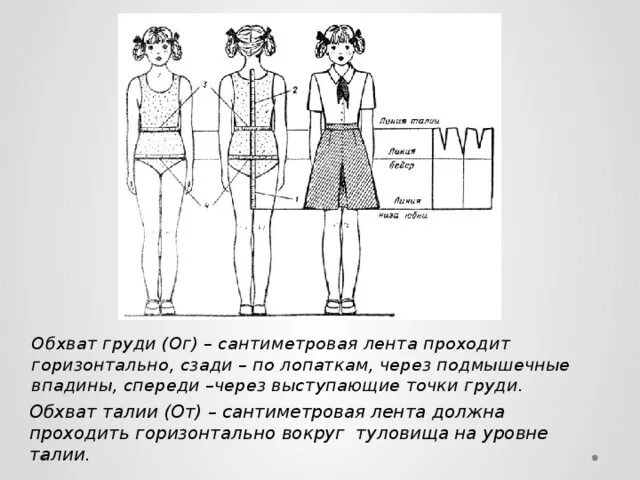 Спереди через. Обхват туловища на уровне груди-это. Горизонтально вокруг туловища на уровне талии. Горизонтально вокруг туловища по линии талии. Горизонтальный обхват груди через точку подмышечной впадины.