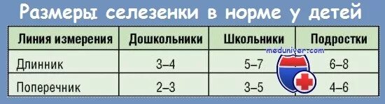 Размер селезенки норма у ребенка 5 лет. Нормы селезенки у детей по УЗИ таблица. Размеры селезенки в норме. Размеры селезенки у детей. Малые размеры селезенки