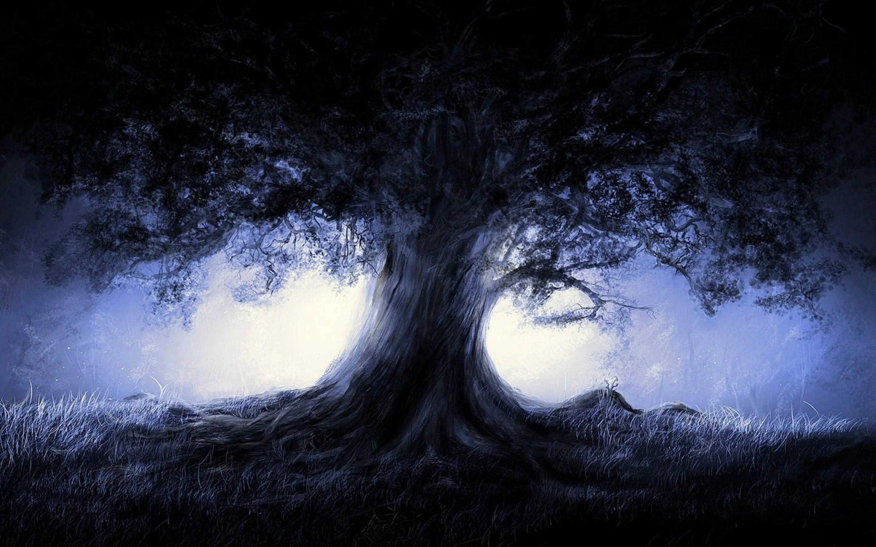 Загадочное дерево. Мистический фон. Мистическое дерево. Темное дерево. Мрачное дерево.
