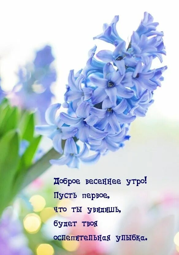 Утро картинки с надписями весенние. Доброе весеннее утро. Утро картинки с надписями весенние. Утро картинки с надписями весенние. Утро картинки с надписями весенние.
