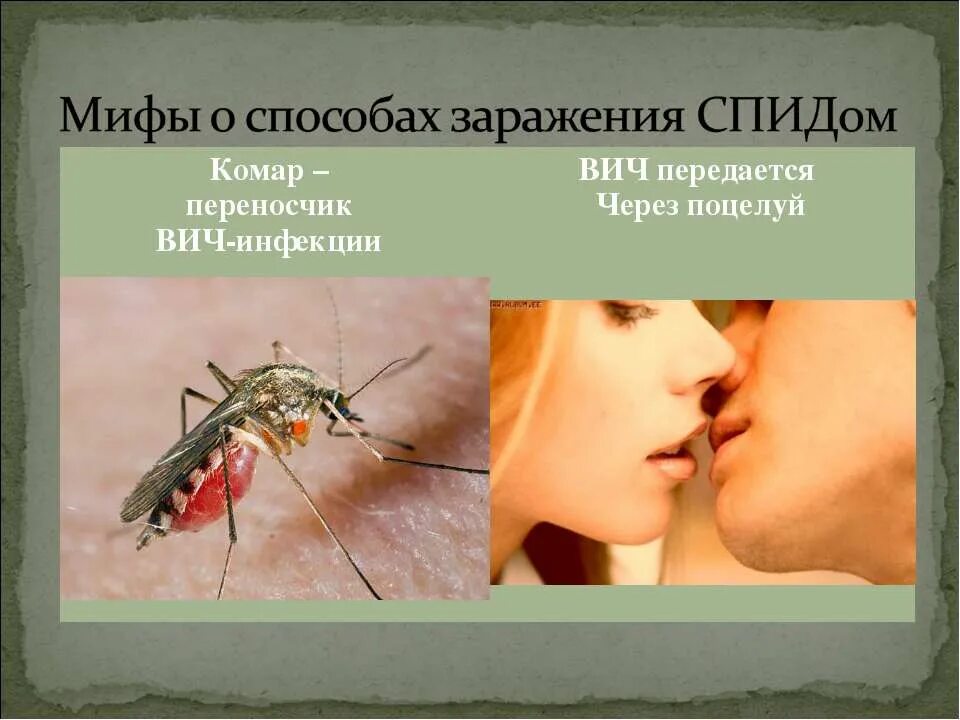 Вич инфекция можно ли заразиться. ВИЧ передается через поцелуй. Способы заражения СПИДОМ. Пути передачи ВИЧ через поцелуй. ВИЧ не передается через поцелуй.