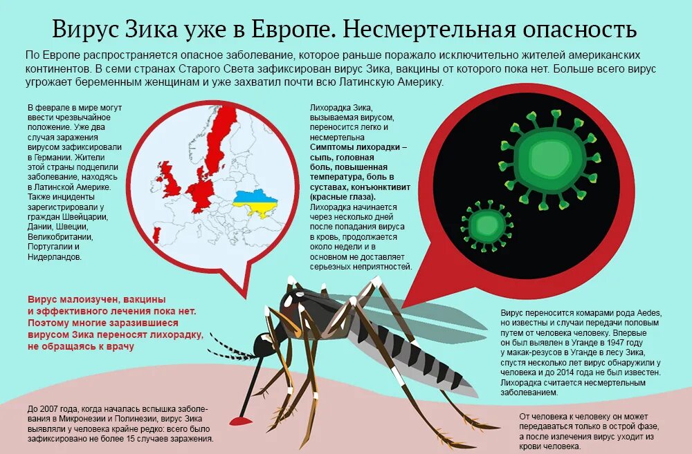 Трансмиссивные заболевания передаются